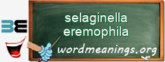 WordMeaning blackboard for selaginella eremophila